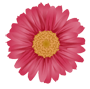 уNjbN!ׂȂєY݂